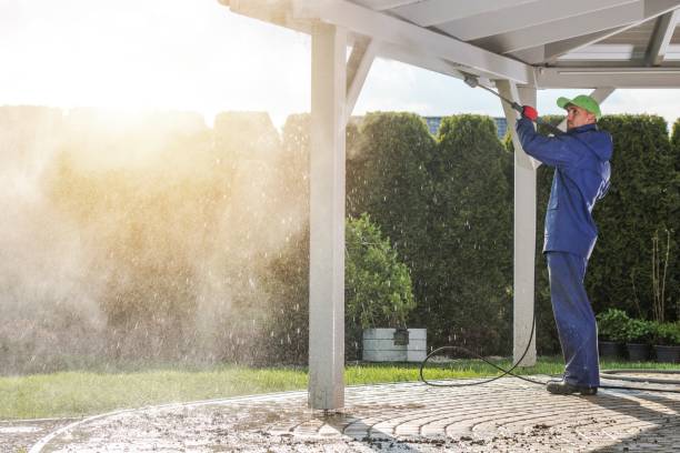 Best Fence Cleaning  in Donna, TX