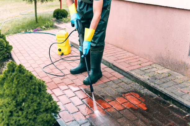 Animal Enclosure Cleaning in Donna, TX
